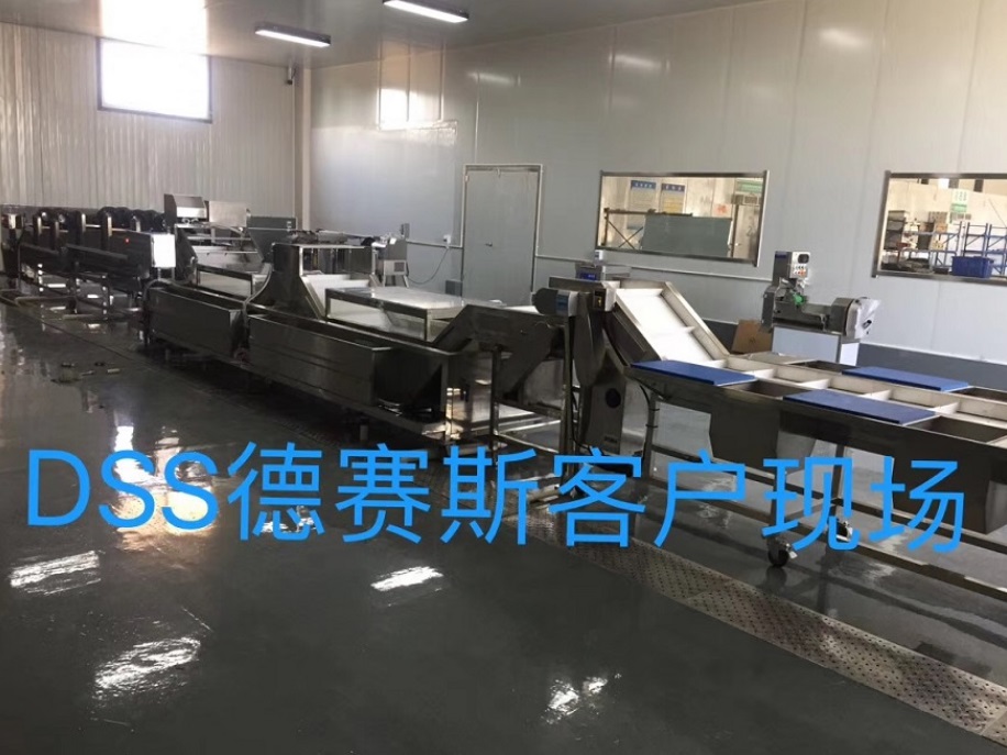 德赛斯为大家分享中央厨房净菜加工设备方案