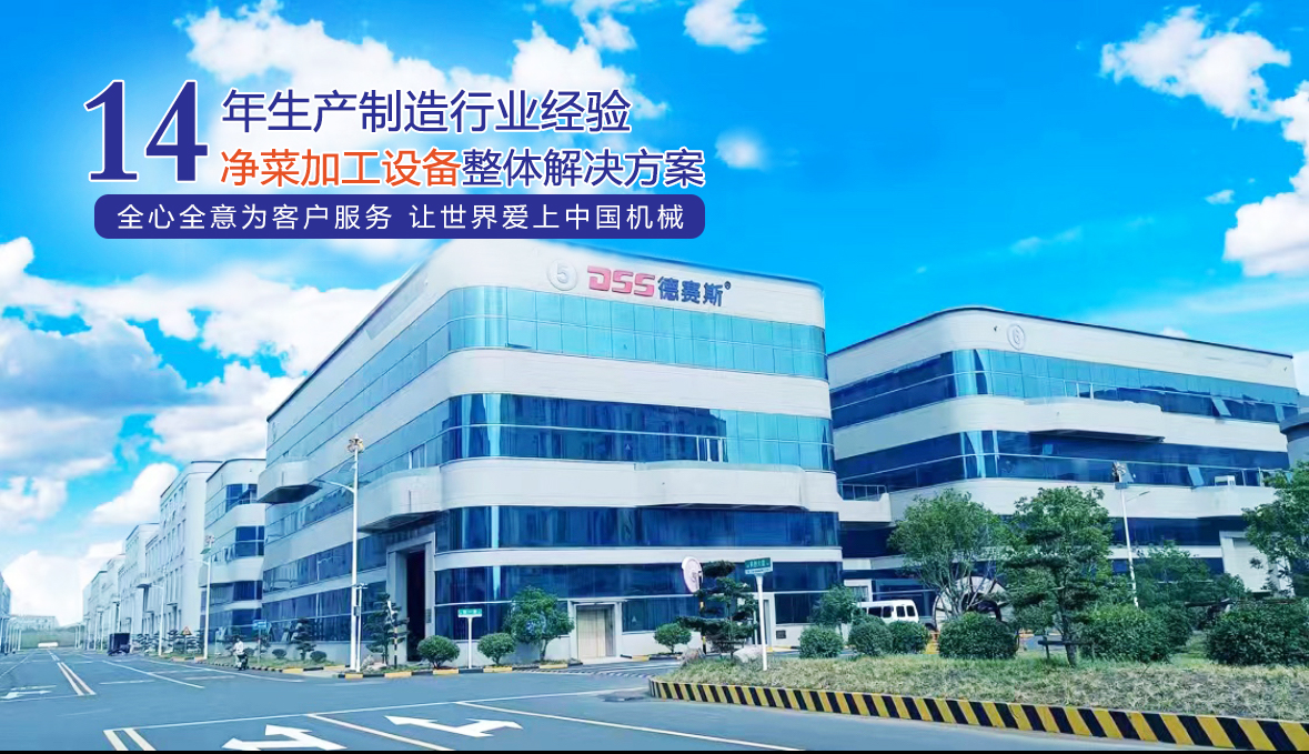 德赛斯
