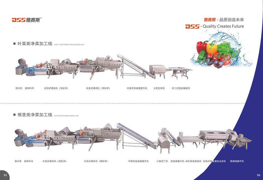 190819德赛斯画册Q_P_6.JPG