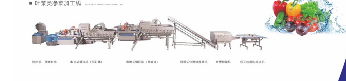 净菜加工