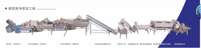 净菜加工