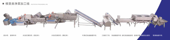 净菜加工