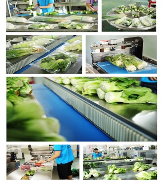 叶菜包装机