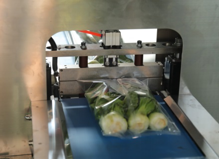 叶菜包装机