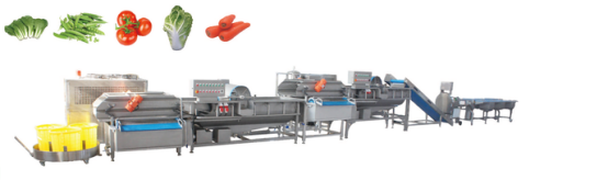 净菜加工设备